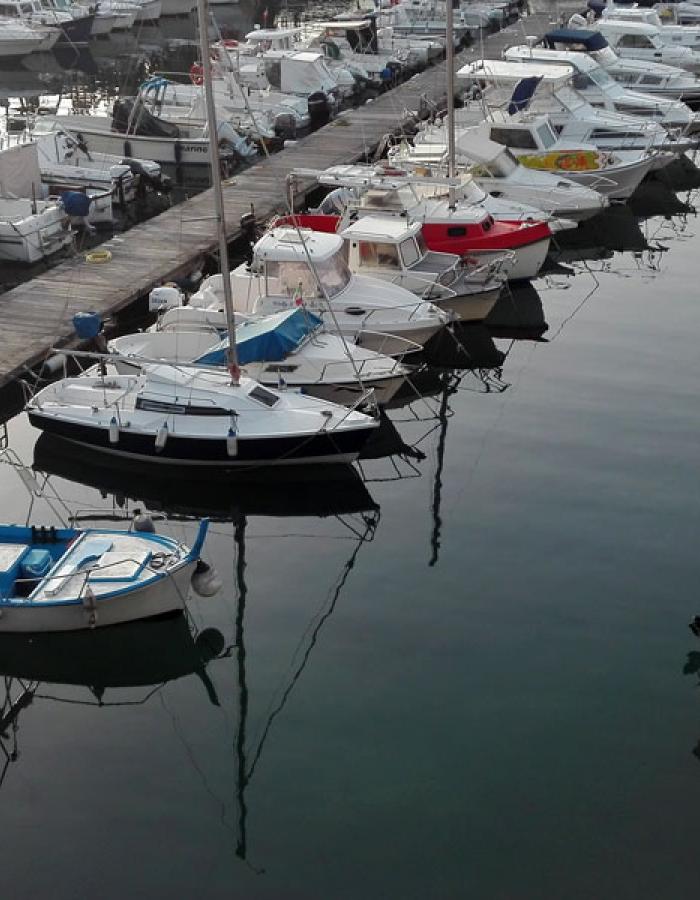 Porto di Savona (Ph: Provincia di Savona)