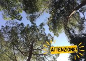 Dichiarazione dello stato di grave pericolosità per gli incendi boschivi su tutto il territorio della Regione Liguria a partire dalle ore 00:01 di sabato 27 luglio 2024